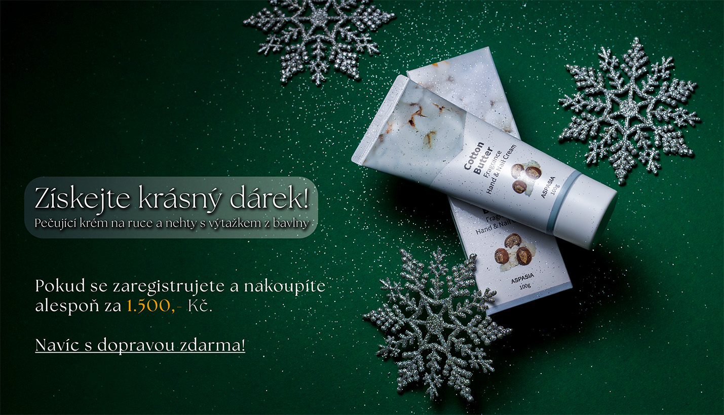 2009 s vločkami a textem FIN 1